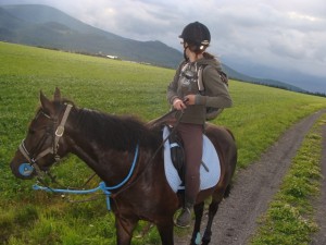 Obrazek